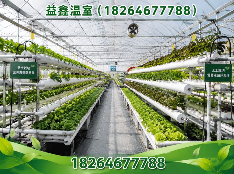 昌乐县智能温室大棚展示图